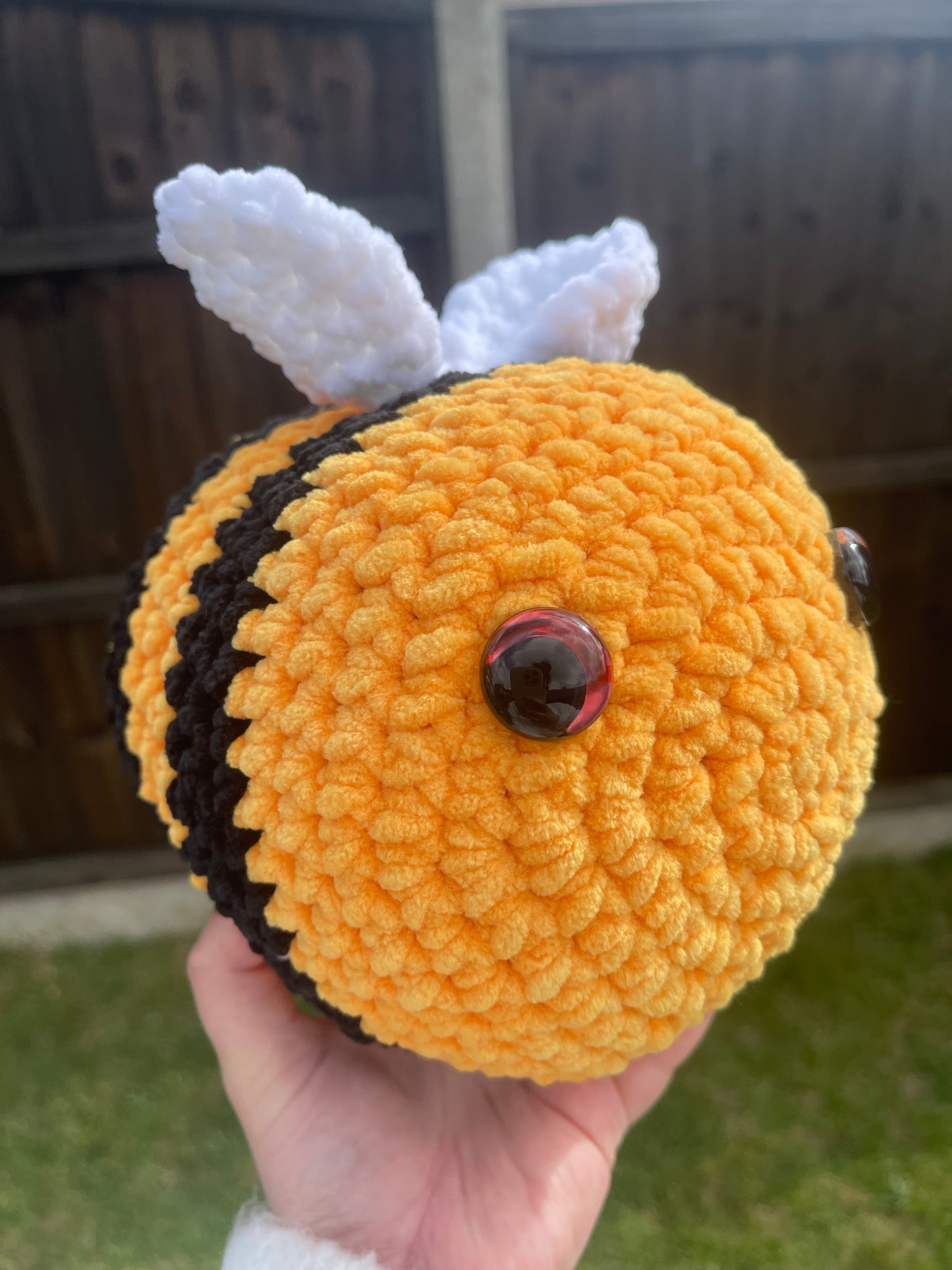 Jumbo Bee