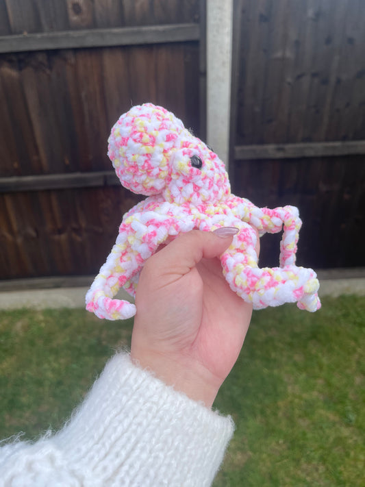 Baby Octopus