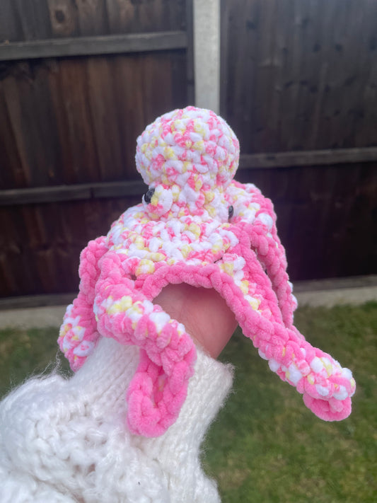 Adult Octopus